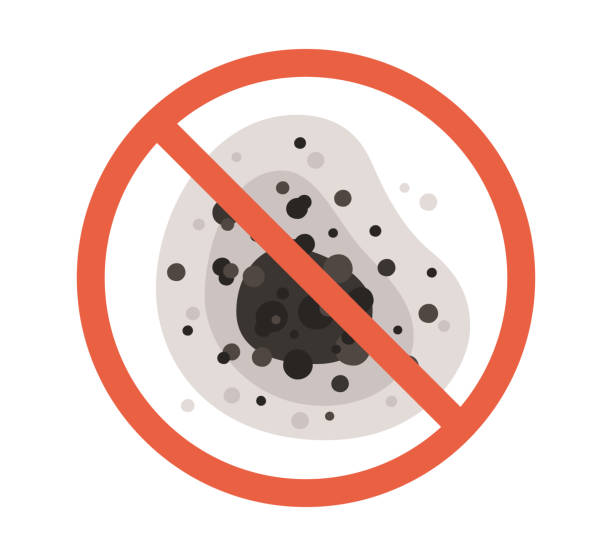 Best Mold Prevention Services  in Meadowbrook, AL