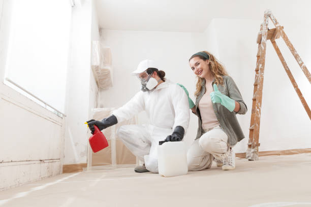 Best Forensic Mold Investigation  in Meadowbrook, AL